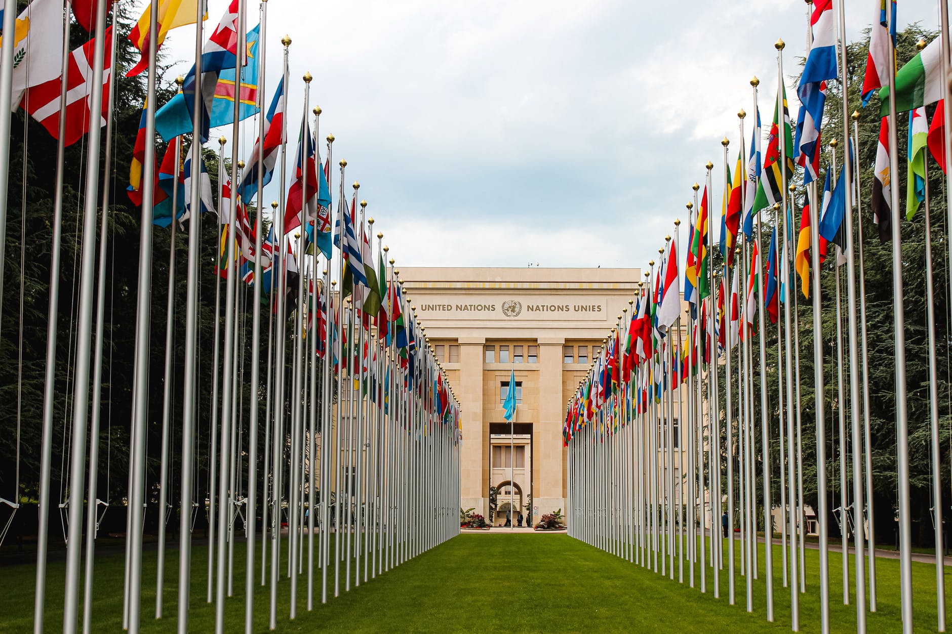 flag of different countries un members